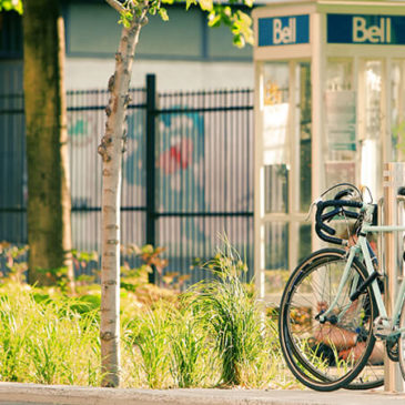Two cycles on the stand